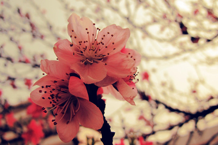 4�µ�3���һ����������Ф