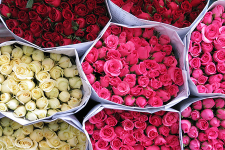 2014年4月12星座的恋爱指数 2014年4月12星座的恋爱指数