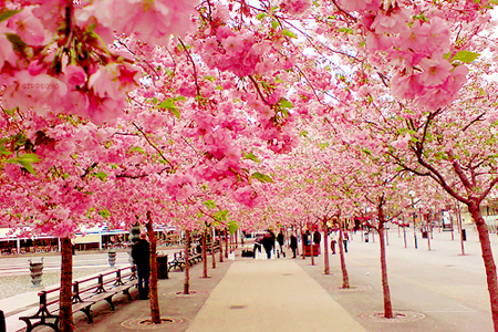 ����5��TOP4��Ф�����һ�Ե