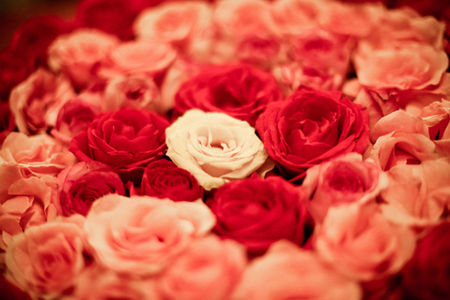 2014�°����һ��ɹ۵�TOP3����