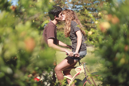 ��������12��Ф���¸���ſ���