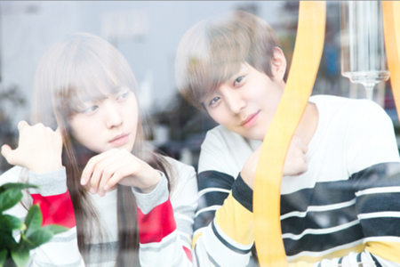 �����Ӯ12�����������ģ�