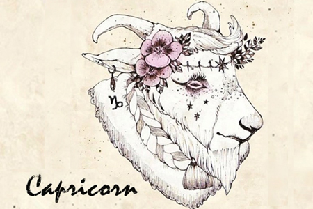 ��ɺ����2014��2�·�Ħ��������