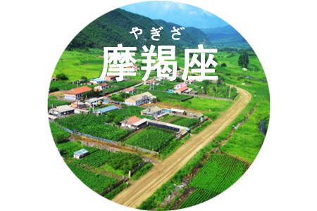 ��ɺ����2014��1�·�Ħ��������