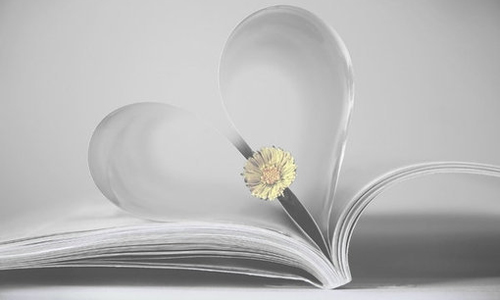 选择在七夕情人节定下婚盟的星座