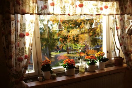 ���ơ����ס��ľӼ�ɷ����ˮ��