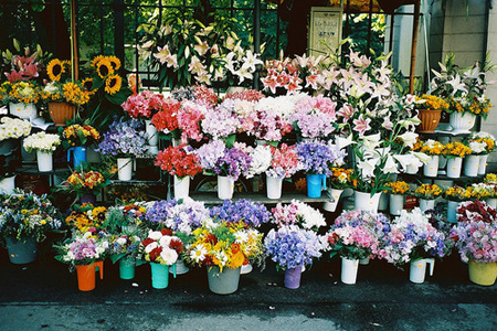 ���Ը���ĳ������ع�������