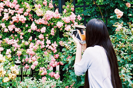 TOP5��Ф��������һ��������