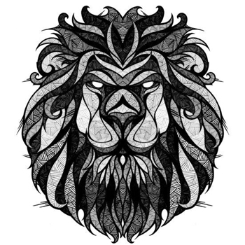 狮子座的爱只开花不结果原因 狮子座的爱只开花不结果原因