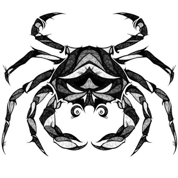 ��з���İ�ֻ���������ԭ��