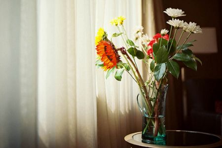 �������ñ�������֮���ﱣ����