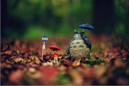 风水调整驱散寂寥悲秋的愁绪! 风水调整驱散寂寥悲秋的愁绪!