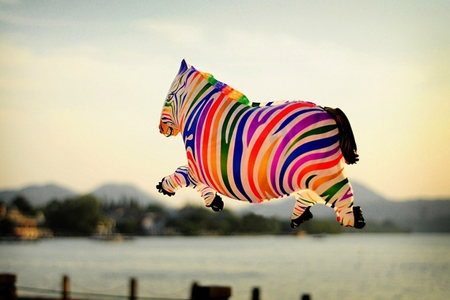 ���������������������ɫ���أ�