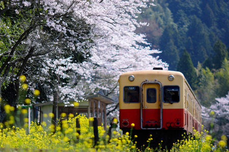 �������12��Ф����ȥ�Ķ���