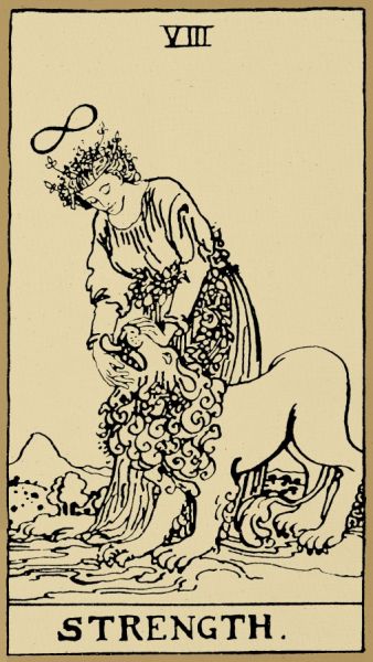 ���������й��������Ƶ����