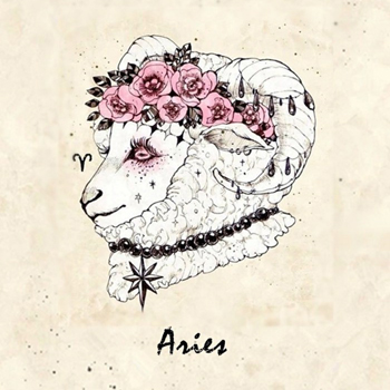 �뻨��Ե���������İ��飡