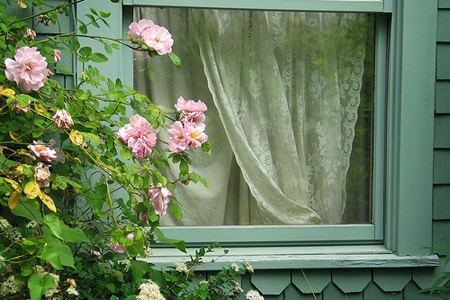 ���ô�����ɷӪ��ӼҺ÷�ˮ��