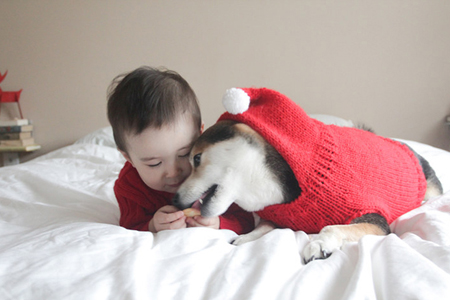 家有汪星人能提运的TOP3生肖! 家有汪星人能提运的TOP3生肖!