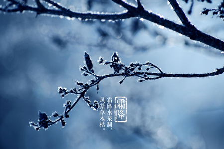 �ﶬ�����ڣ�˪����ʳ��������