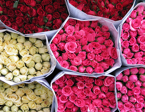 你是“恐婚族”的指数多高? 你是“恐婚族”的指数多高?