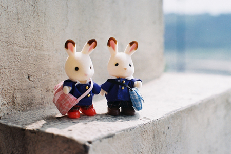 12��������ʧȥ���ĺ���ؽ�