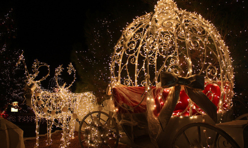 圣诞节哪个星座的桃花最出众?