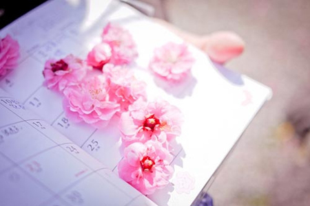 �������ױ�ƽ�������յĴ��£�