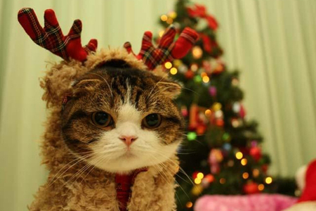 ����ƽ��ҹ���ڴ���˭����