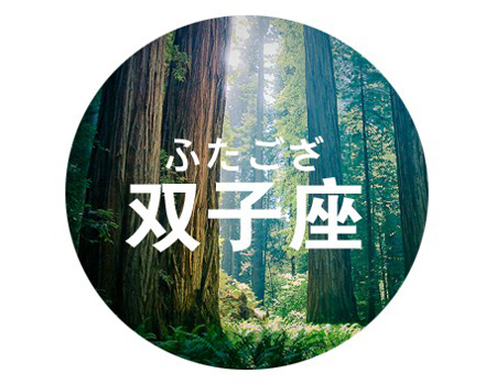 ��ɺ����2015��˫��������