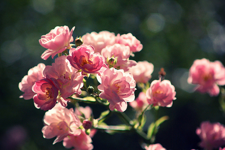 12����2015��Ѱ����Ե����;