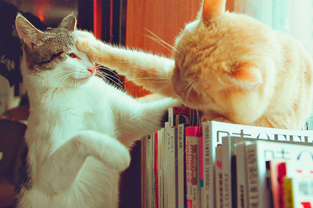 2015�������ͷ�������˥�ˣ�