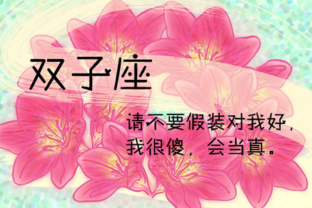 ��ɺ����2015��1�·�˫��������