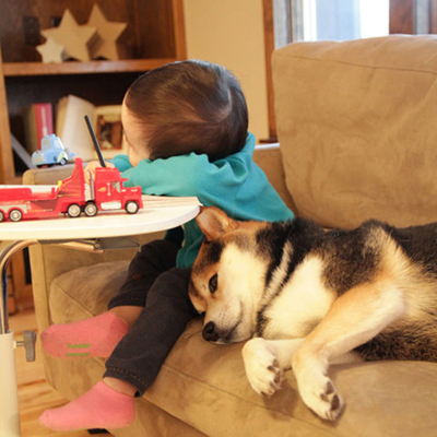 你才华发光点会在怎样的工作? 你才华发光点会在怎样的工作?