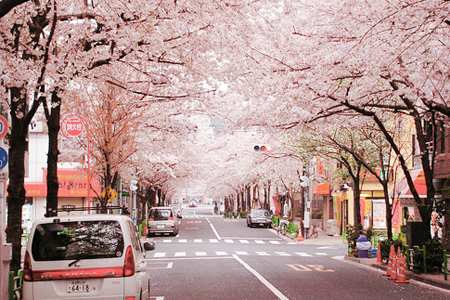 春节高兴出游莫碰的晦气之事! 春节高兴出游莫碰的晦气之事!