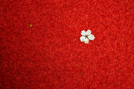 运气大红大紫的月份之12生肖篇 运气大红大紫的月份之12生肖篇