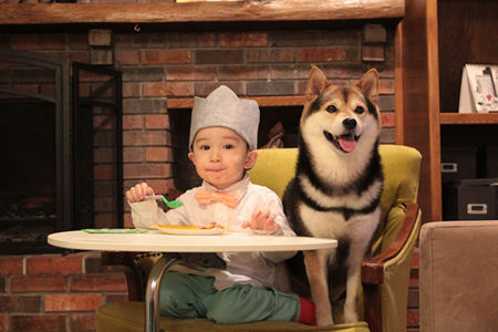 �����ӳ����ɷ��辯���ɷ����