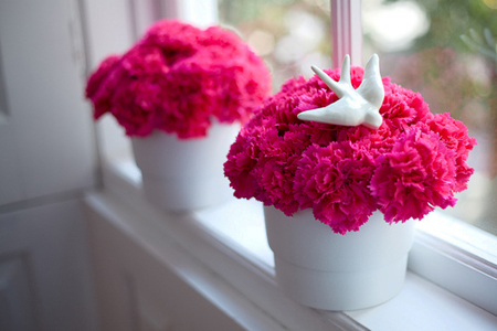 情人节脱单善用风水提升人缘! 情人节脱单善用风水提升人缘!