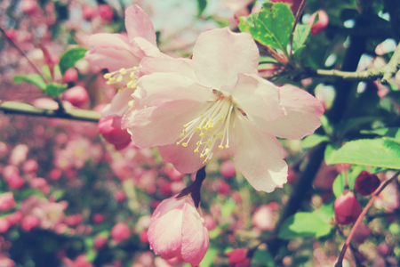 12����2015��3���һ�����