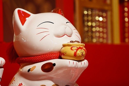 Ϊʲô�������������ȥ��