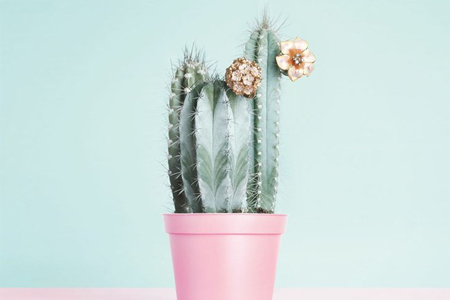 ����֮�ﻵ��ˮǧ�����ؼң�