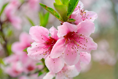 12����2015��5���һ�����