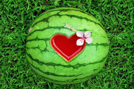 12����2015��5������Ԥ��