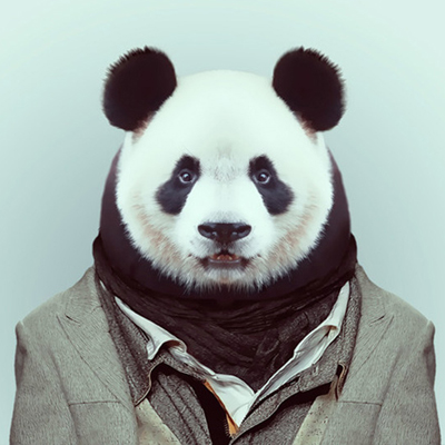 ʲô�������������еĿ��ǣ�