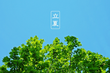 ���Ľ������������ɼ����ؾ���