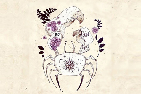 ��ɺ����2015��5�·ݾ�з������