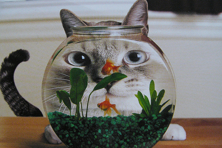 12��Ф���²���һ��������