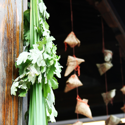 �����ϰ�׿�̽���ְҵҰ��