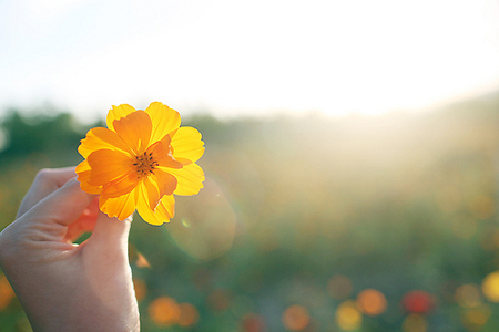 ����ϲ��Ԥ����ļ��׻�����