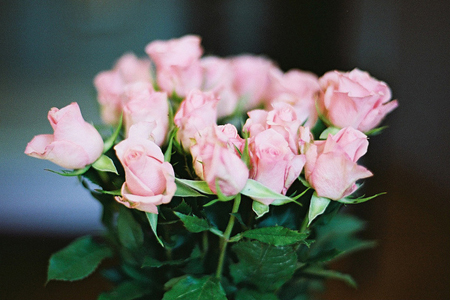 ¶ˮ��ԵOR��Ե��Ф������һ�