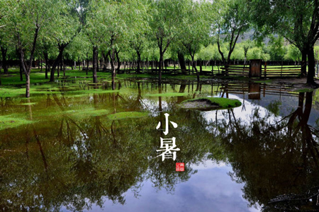 盛夏来袭小暑养生健康把好关 盛夏来袭小暑养生健康把好关